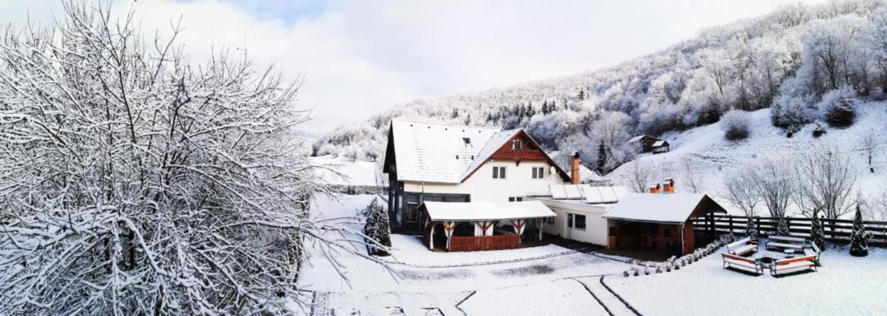 Olimpia Villa Tibod Eksteriør billede